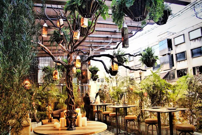 cantina la 15 bar1